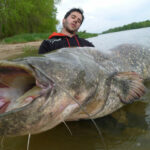 Quel est le plus gros poisson d'eau de mer ?