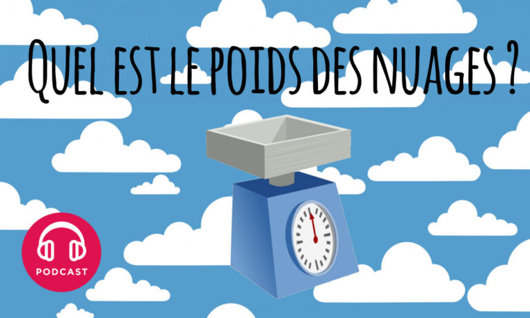 Quel est le poids d’un camembert ? Quel est le poids d'un camembert ?