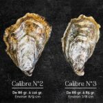 Quel est le poids d'une huître ?