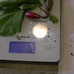 Quel est le poids d'une pizza ?