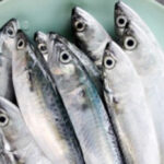 Quel est le poisson le moins pollué ?