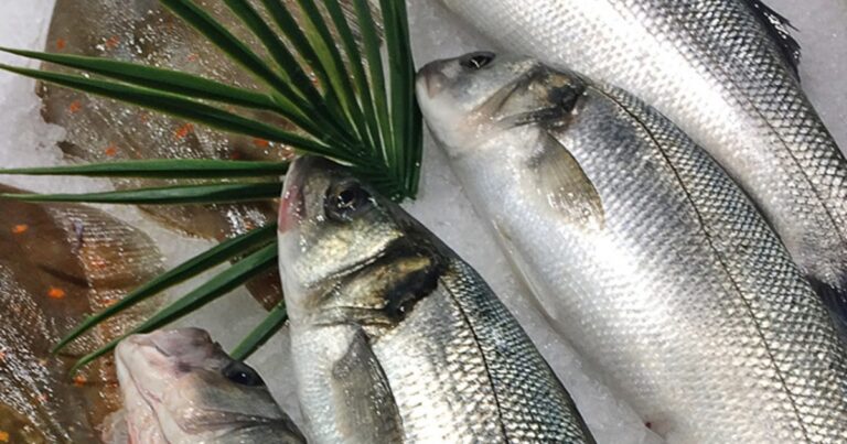 Quel est le poisson le plus goûteux ?