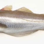 Quel est le poisson le plus maigre ?