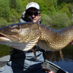 Quel est le poisson le plus savoureux ?