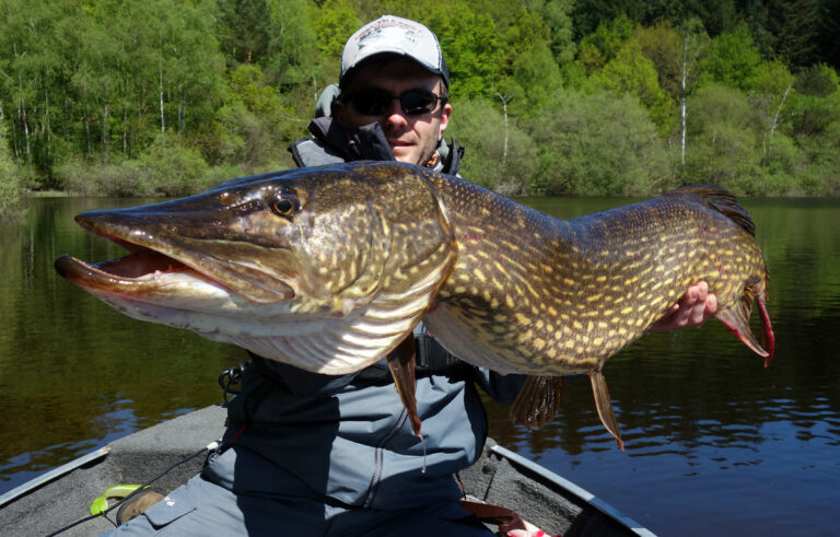 Quel est le poisson le plus savoureux ?