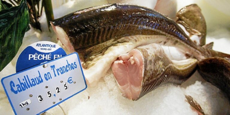 Quel est le poisson préféré des Français ? Quel est le poisson préféré des Français ?