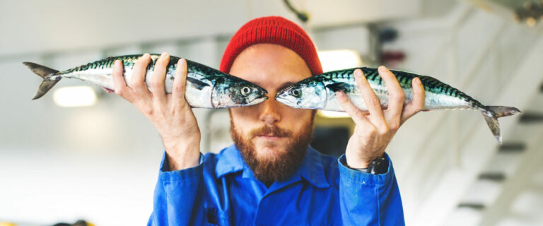 Quel est le poisson qui a le moins d'arêtes ?