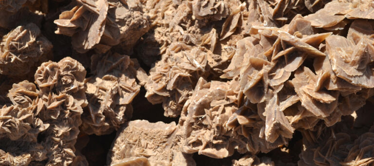 Quel est le pouvoir de la Rose des Sables ? Quel est le pouvoir de la Rose des Sables ?