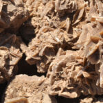 Quel est le pouvoir de la rose des sables ?