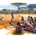 Quel est le premier fruit apparu sur Terre ?