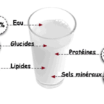 Quel est le principal constituant du lait ?