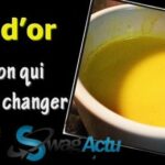 Quel est le principal ingrédient du lait ?