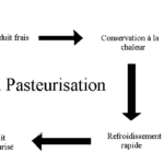 Quel est le principe de la pasteurisation ?