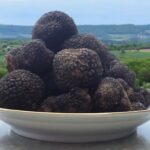 Quel est le prix de 100 g de truffe ?
