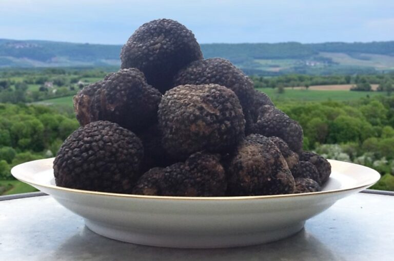 Quel est le prix de 100 g de truffe ?
