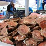Quel est le prix de la coquille Saint-jacques ?
