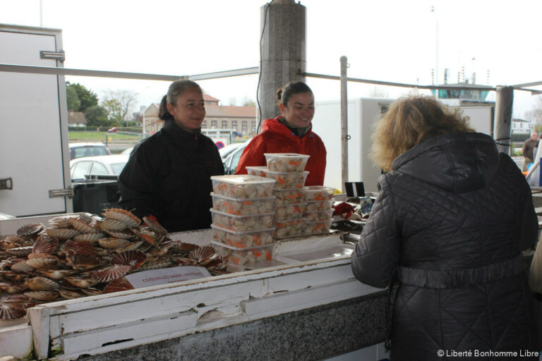Quel est le prix de la coquille Saint-jacques à la criée ?