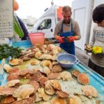 Quel est le prix de la coquille Saint-jacques au kilo ?