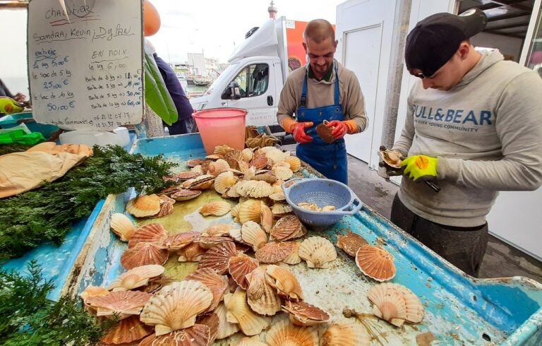 Quel est le prix de la coquille Saint-jacques au kilo ? Quel est le prix de la coquille Saint-jacques au kilo ?