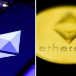 Quel est le prix de la lotte actuellement ?