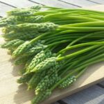 Quel est le prix des asperges sauvages ?