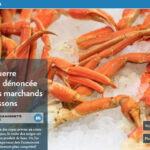 Quel est le prix du crabe chez IGA ?