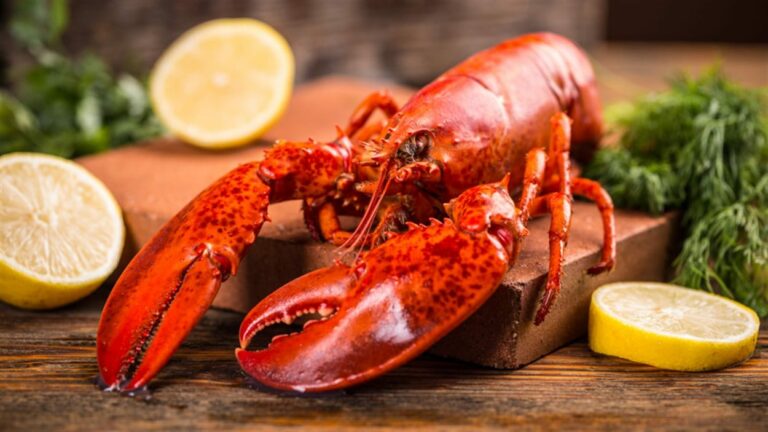 Quel est le prix du homard ? Quel est le prix du homard ?