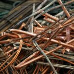 Quel est le prix du kilo du bar ?