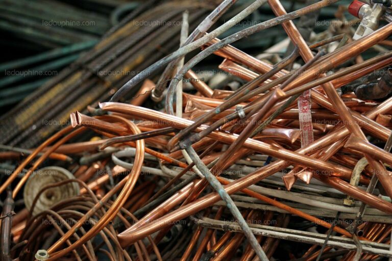 Quel est le prix du kilo du bar ?