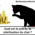 Quel est le prix du lait ?