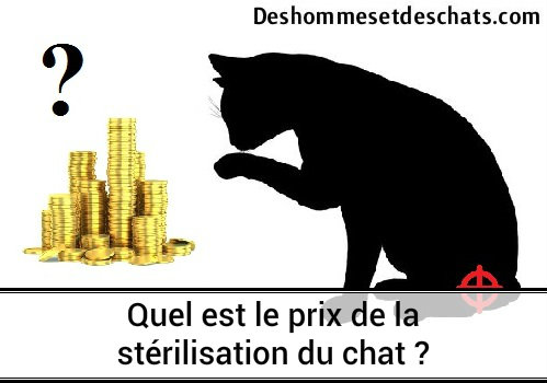 Quel est le prix du lait ?