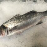 Quel est le prix du poisson bar ?