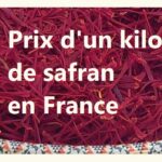 Quel est le prix d'un kilo de lotte ?