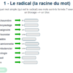 Quel est le radical du mot montagne ?
