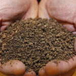 Quel est le rôle de l'acide phosphorique ?