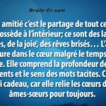 Quel est le sens de l'amitié ?