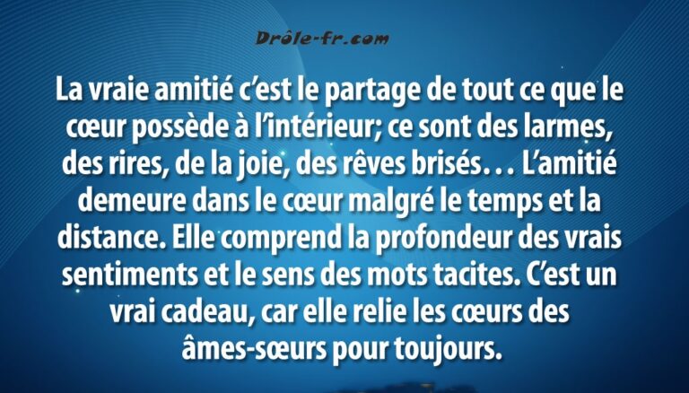 Quel est le sens de l’amitié ? Quel est le sens de l'amitié ?