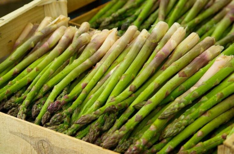 Quel est le temps de cuisson des asperges vertes ?