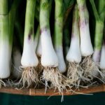 Quel est le temps de cuisson des poireaux ?