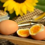 Quel est le temps de cuisson pour un œuf dur ?