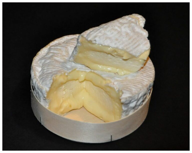 Quel est le vrai camembert de Normandie ?