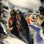 Quel est le vrai nom du poisson des chenaux ?