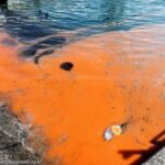 Quel est l'endroit le plus dangereux dans l'océan ?