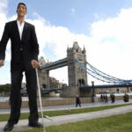 Quel est l'œuf le plus grand du monde ?