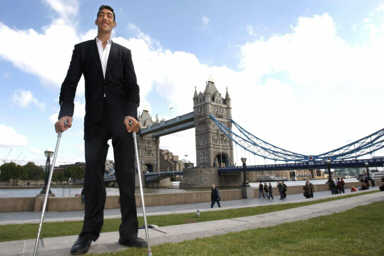 Quel est l’œuf le plus grand du monde ? Quel est l'œuf le plus grand du monde ?