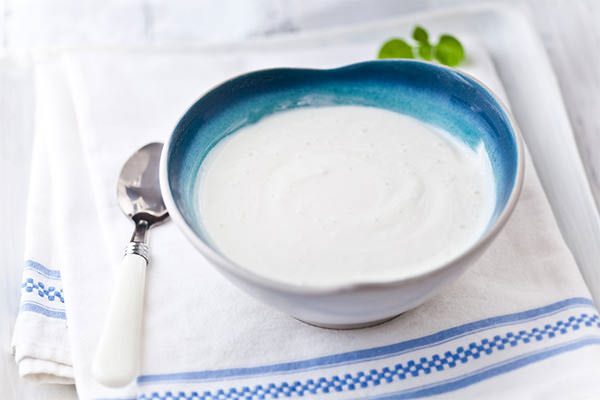 Quel ferment pour yaourt végétal ?