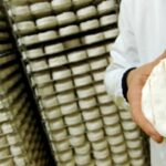 Quel fromage à quel âge ?