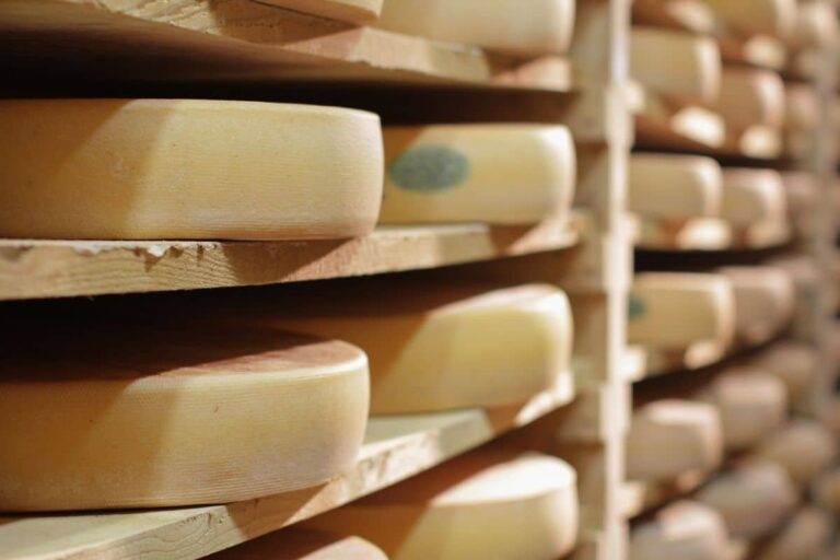 Quel fromage autorisé pendant la grossesse ?