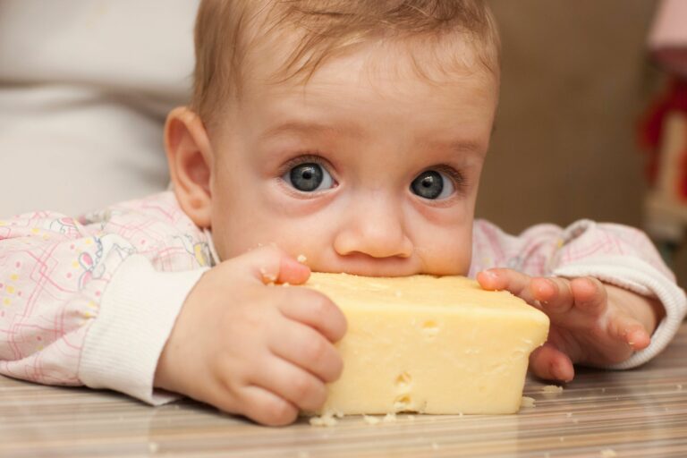 Quel fromage pour bébé de 1 an ? Quel fromage pour bébé de 1 an ?