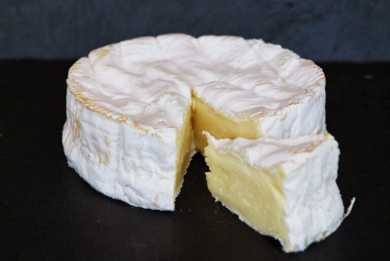Quel fromage pour remplacer le camembert ? Quel fromage pour remplacer le camembert ?